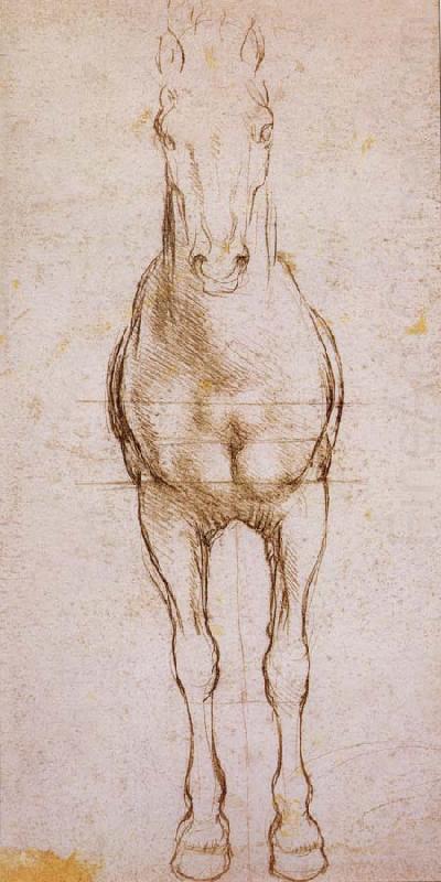 LEONARDO da Vinci Study of the proportion of horses china oil painting image